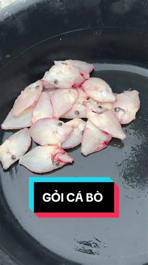 Khám Phá Gỏi Cá Bò Độc Đáo Tại Quảng Ninh