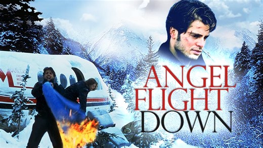 Angel Flight Down (1996)
