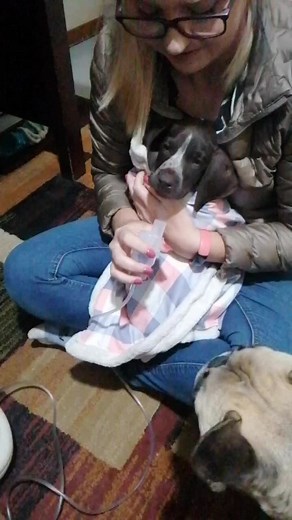 The Pienaar Pack on TikTok