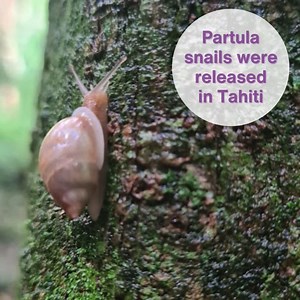 2.3K views · 148 reactions | Enjoy (in no particular order) some of...