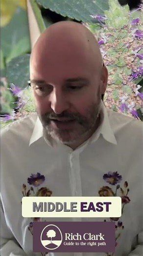 Patchouli: History, Scents, and The Unexpected Truth #shorts