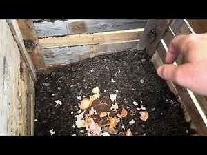 Make your own compost in a composter to fertilize the soil in your vegetable patch and garden