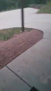 3.6K views · 62 reactions | Pet the doggo. | Internet Trash | Facebook