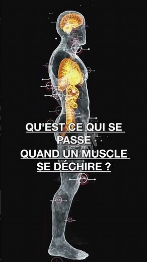 What happens when a muscle tears? 🧬🫁💪 #science #health #medicine