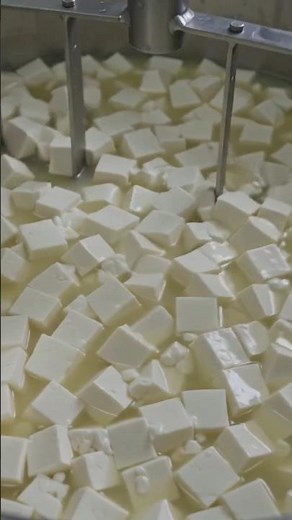 Mozzarella Cheese Factory 🧀 | How Mozzarella Cheese Is Made #factoryprocess #productionfacility
