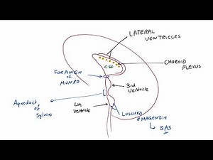 Neurosurgery - Hydrocephalus (6th year)