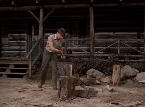 💲Buy: https://amzn.to/3WUIIIo Airwolf: S1.E3 ∙ Bite Of The Jackal #ad #CommissionEarned | Stringfellow Hawke