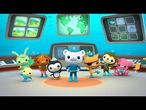 The Octonauts and the Pininga Turtle Octo Report | The BIG Octonauts Channel