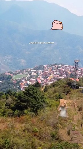Explora Coroico: Naturaleza, Deportes Extremos y Paraíso | Coroico Bolivia