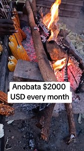 1M views · 22K reactions | $2000 profit every month #ganyamatope | Ganyamatope | Facebook