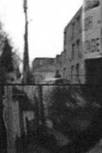 Blue Decoding - Movie