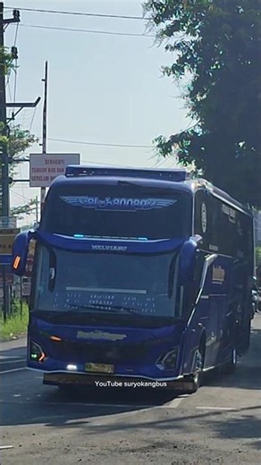 Telolet basuri lagu tabole bale🥳‼️ #huntingbus #basuri