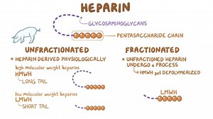 Video: Anticoagulants: Heparin - Video Explanation! | Osmosis | Osmosis
