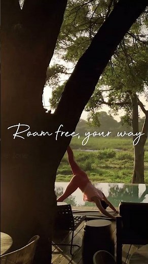 Step into the wild in style #wildlife #travel #krugergatehotel