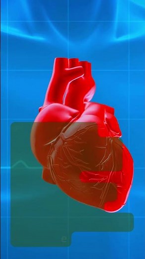 Visceral motor system.