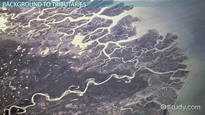 Tributary | Definition, Landforms & Examples
