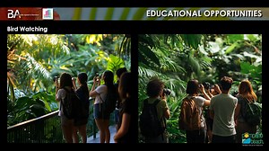 Our job as the CRA is to bring the best economic development and redevelopment projects to the City! Our role goes beyond just upgrading old infrastructure and park amenities—we are the catalysts for real change. By focusing on transformative projects such as the McNab House and Botanical Gardens Project, we’re creating opportunities that attract businesses, enhance property values, and improve the quality of life for residents. We focus on shaping the future of the community and driving economi