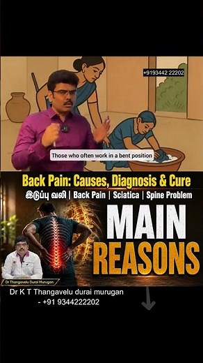 Main Causes of Sciatica | இடுப்பு வலி | Back Pain | Sciatica | Spine Problem