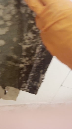 1.2K views · 10 comments |  How to Detect Mold Inside Walls?  If...