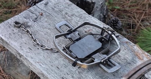 This Week in Fish and Wildlife: Training for trappers offered by Montana FWP