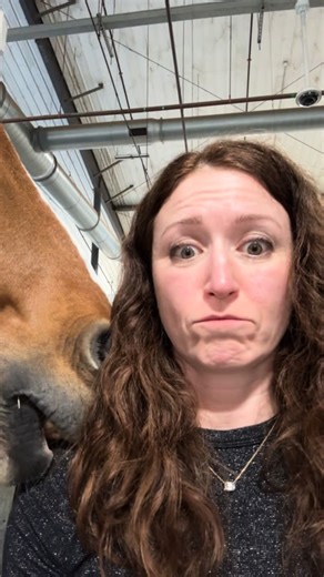 Erin Murphy EQ | Life of a (Horse) Show Girl and her faves: late night teethy shoulder naps, freshly washed hair, sparkly shirts and of course Ms Swift.... | Instagram