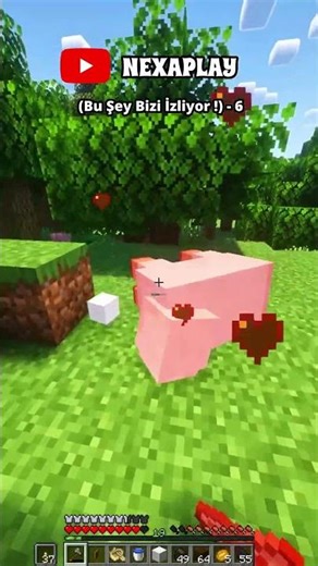 Bu Şey Bizi İzliyor ! - 6 #minecraft #minecraftmod #nexaplay