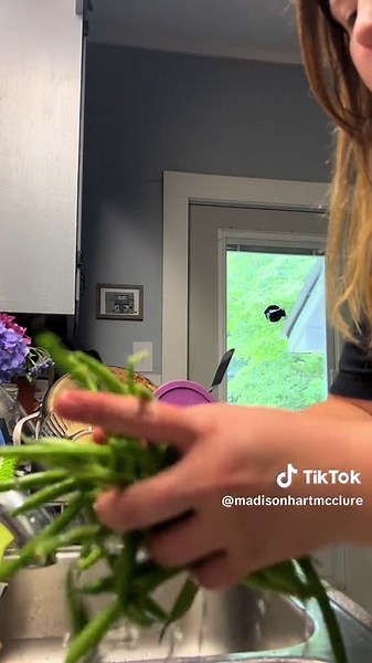 Washing Fresh Green Beans from the Garden