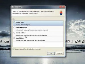 2 1 Introduction JDBC Java JSP Oracle MySQL Oracle JDeveloper JSF