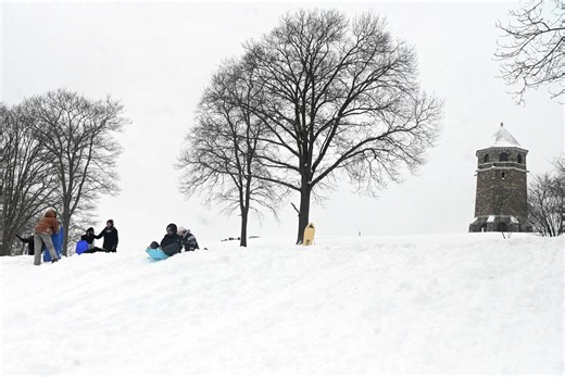 ‘Exploding trees’ are going viral online. Here’s why Connecticut trees aren’t at risk.