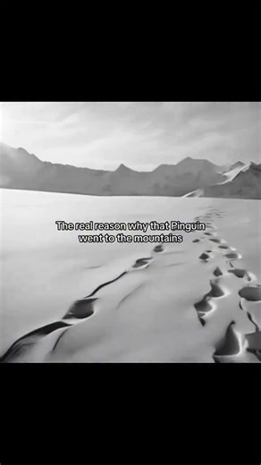 uncvoid on Instagram: "🏔️ Interesting fact: This meme reimagines a childhood claymation classic through the lens of gritty, hyper-realistic survival horror. It features two unsettling, realistic avian creatures with elongated beaks standing in a desolate, snowy landscape, resembling a twisted version of the beloved character Pingu. The text suggests a dark, hidden backstory explaining why the character sought refuge in the mountains, implying a narrative far more serious than the original show.