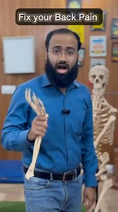 1.7M views · 19K reactions | Best Exercises for Lower Back & Hip Pain...