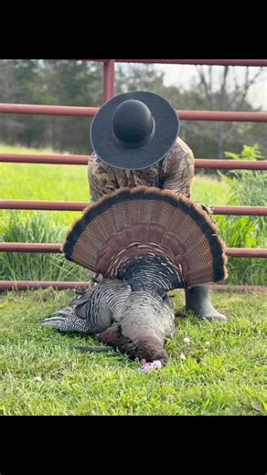Kentucky Spring Turkey Season! 🦃 | Eastern Outdoors Media