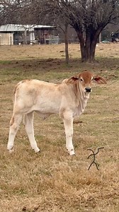 106K views · 7.4K reactions | Most people won’t understand what...