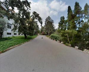 4.5K views · 218 reactions | Explore AUB's grounds and beautiful...