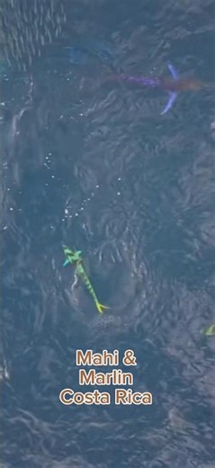 🏝️Fishing in Costa Rica!Beautiful #costaricarealestate#fishing #fishingcostarica #luxuryrealestate