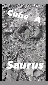 177K views · 1.7K reactions | From digging it out & cleaning it to showing it off. #hardrock #geodeopening #geodepooping #mining #calcite #quartz #ofdlysatifying #bigpoop #geode #fabulous #keokukgeodes #site #reels | KeokukGeodes | Facebook