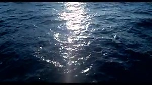 42K views · 873 reactions | Are they the monsters we imagined them to...