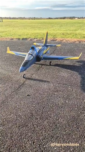 Stay for the inverted spin with zero airspeed! #Viper #fms #Climb #Spin #Sink #Rc #Flying
