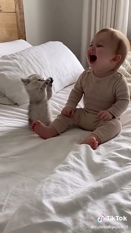 Adorable Baby Playtime Moments with Cute Cats