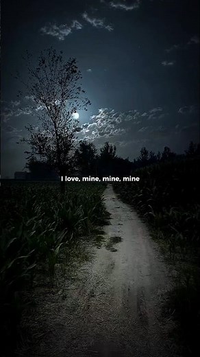 Mitski - My Love Mine All Mine (Lyrics) #foryou #mylovemineallmine #songslyrics