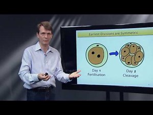 Lecture 1: Embryonic Development and Cell Biology