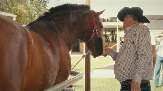 Dylan and Rob get Western and ride horses...the catch? Can they make them dance? Everything’s a Competition is a fast-paced YouTube series where best friends and fierce rivals Dylan Efron and Boston Rob face off in a new, unpredictable challenge each episode. From physical feats to absurd creative showdowns, no competition is too weird, wild, or humiliating. Credits Location: @ranchoavaloschino Head Trainer: @fcequestrianarts Videographers: @tannercarney @etview_j @thomaskovacik Editor: @ilyaluc