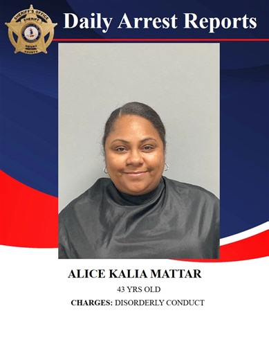 42K views · 115 reactions | The Henry County Sheriff's Office Daily Arrest. | Henry County Sheriff's Office | Facebook