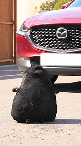 The Dirtiest Toy Gets a Stunning Makeover! | 5-Minute Crafts UK