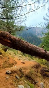 184K views · 8.2K reactions | Beautiful view❤ | Nature Beauties | Facebook