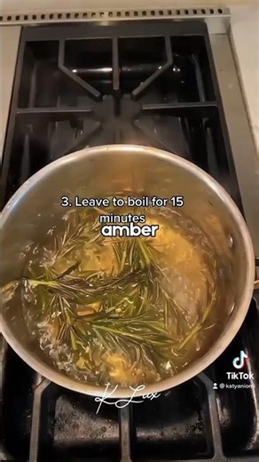 The Fairy Dust Hair Growth Secret. ✨" || #shorts #beauty