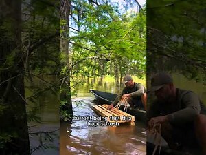 Setting a catfish slat trap. #pollywogcabin #pollywogcabinseasoning