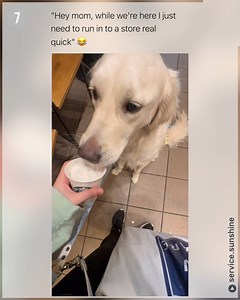 1M views · 10K reactions | The cat got a reality check | Betch | Facebook