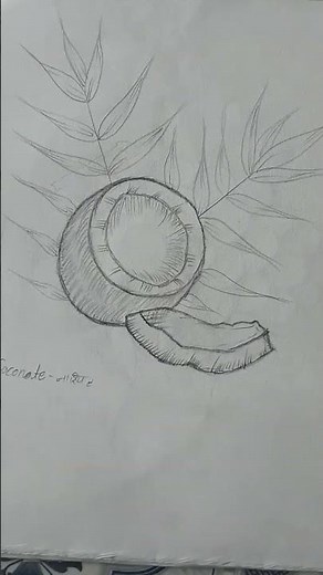 how to draw a Coconut step by step very easy for beginners - coconut drawing easy - fruit