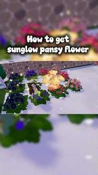 How to get sunglow pansy flower and tips for crossbreeding flowers 🌺#heartopia #crossbreedingflower